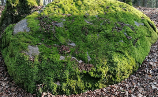 3_Liubiškių akmuo.jpg